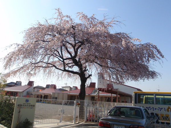 d0034291_2255028.jpg