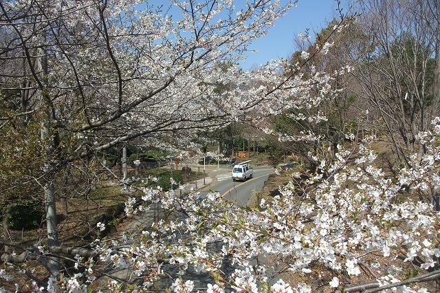 e0070891_21243870.jpg