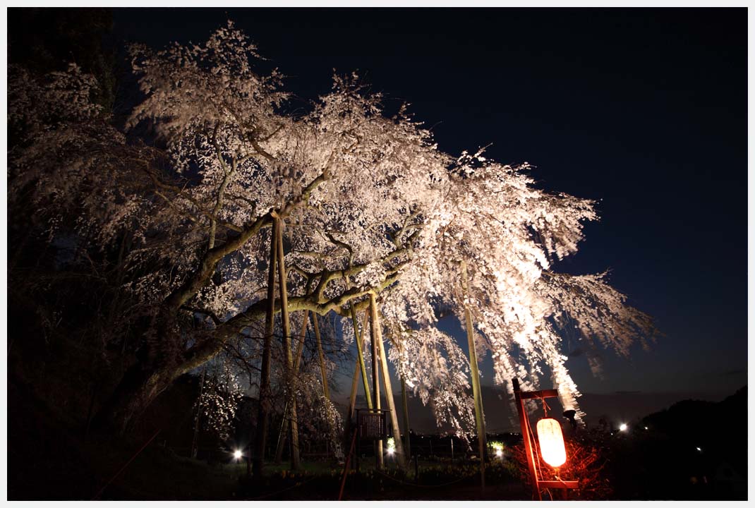 奥山田のしだれ桜　その1_e0207391_1853836.jpg