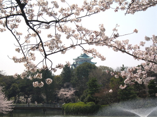 c0094393_225139.jpg