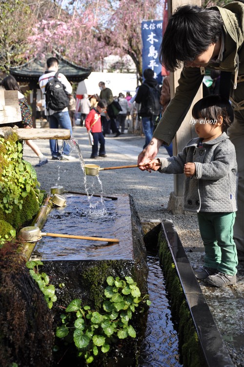 桜が満開の深大寺_e0210194_23314448.jpg