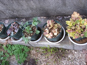 c0117898_22572836.jpg