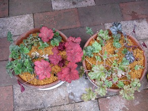 c0117898_22575153.jpg