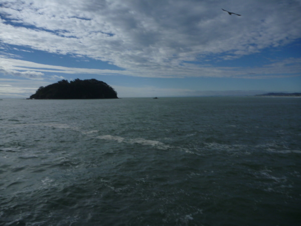 c0182098_1957205.jpg