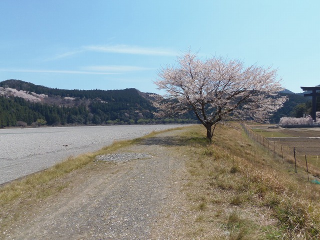 c0125501_22492156.jpg