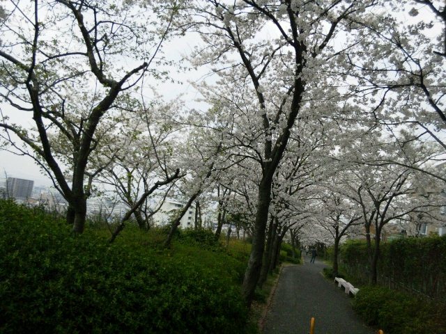 a0075802_22114278.jpg