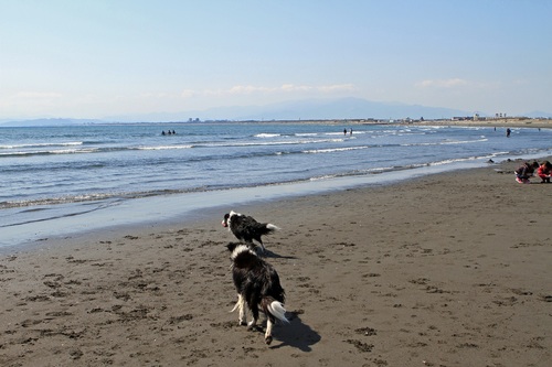 f0034602_18124827.jpg