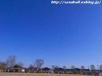 e0145805_18173828.jpg