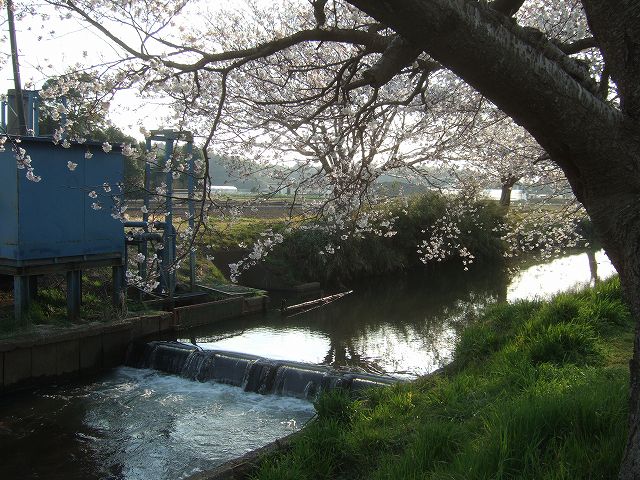 a0227507_0303471.jpg