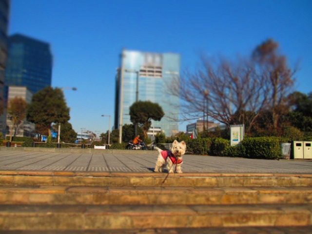 お台場でお散歩～～♪２０１２年２月４日（土）_f0039907_1332917.jpg