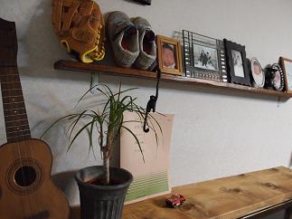 a0240108_2115025.jpg