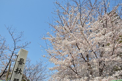 b0143308_2243337.jpg