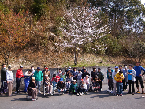 桜の季節！_a0154110_9421735.jpg