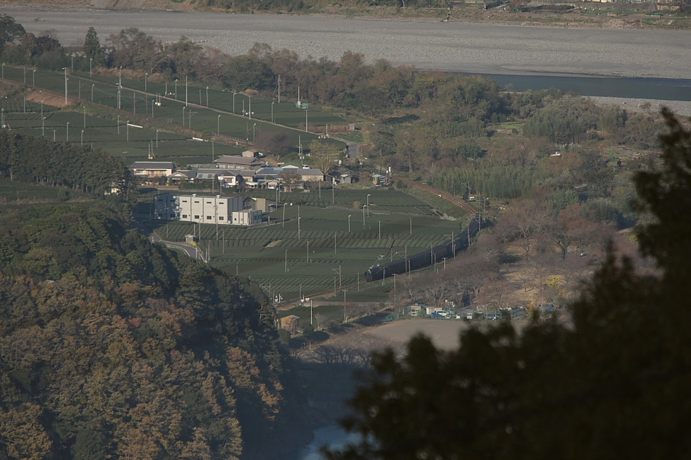 茶畑 - 2011年・大井川 - _b0190710_2313141.jpg