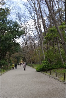 c0157412_214225.jpg
