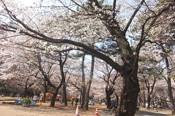 b0230613_1563430.jpg
