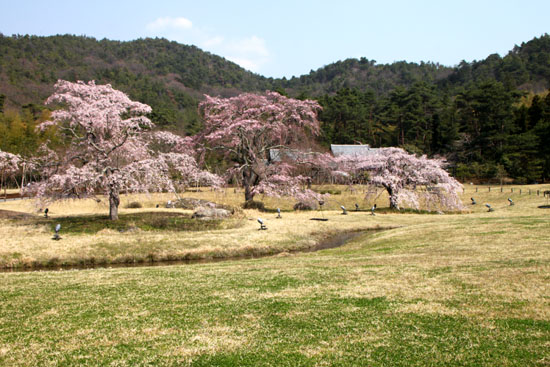 嵯峨野　平安卿_e0048413_22272682.jpg