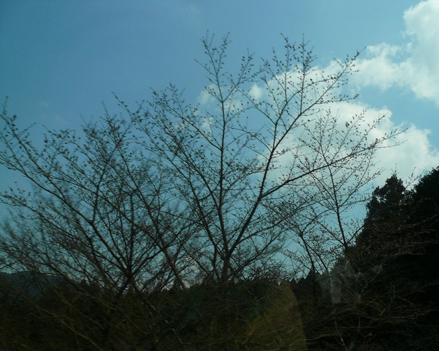 f0163920_2312954.jpg