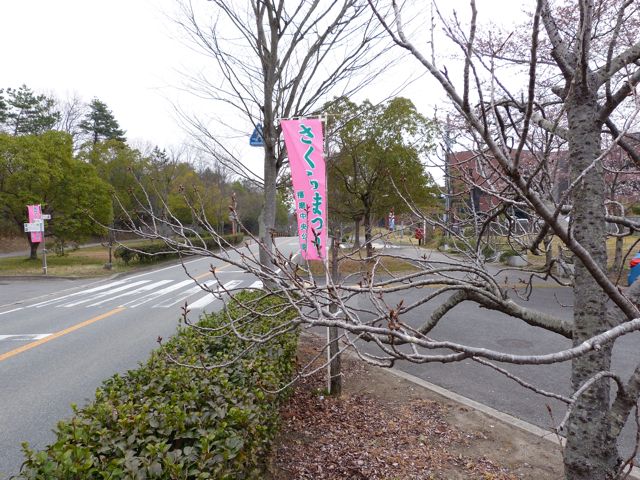 a0188023_1543338.jpg