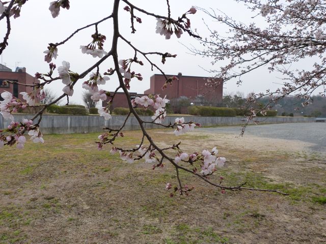 a0188023_1552391.jpg
