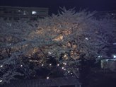 e0043723_10311444.jpg