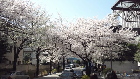 b0238426_9295669.jpg