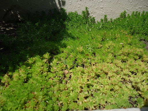 d0225727_857839.jpg