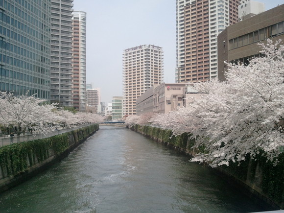 e0143628_10402266.jpg