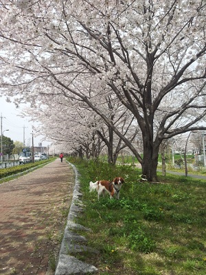 c0114929_20245598.jpg