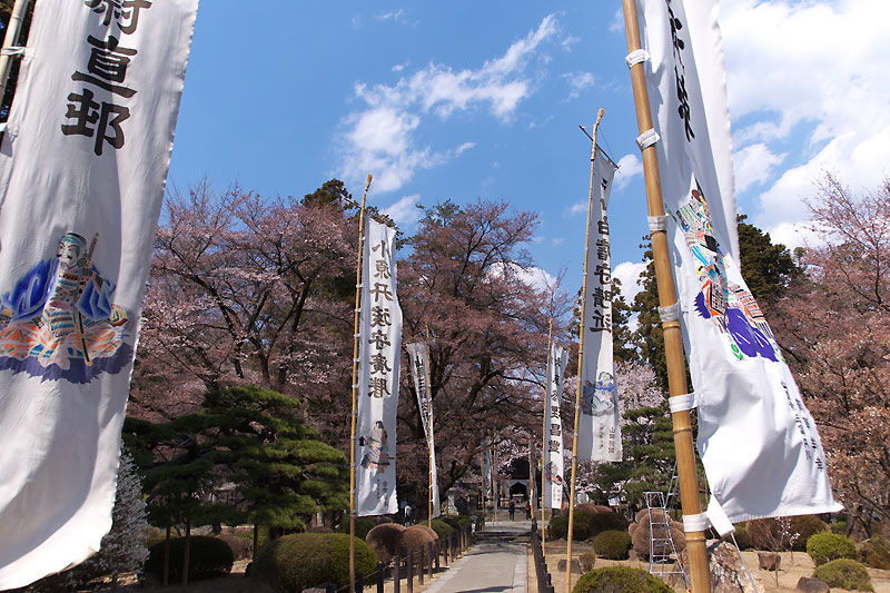 放光寺と恵林寺の桜 & トンネルのワインカーブ_b0179231_0281433.jpg