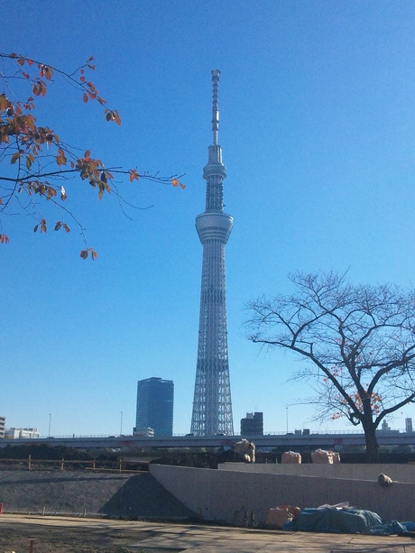 d0252434_10404233.jpg
