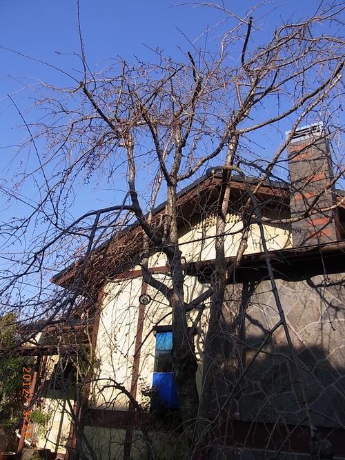 a0142935_004057.jpg