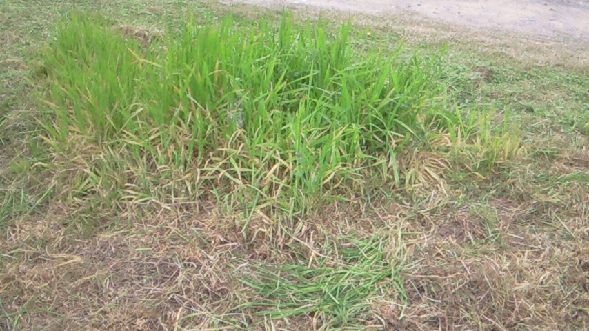 e0060041_1851314.jpg