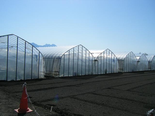 e0146841_2141097.jpg
