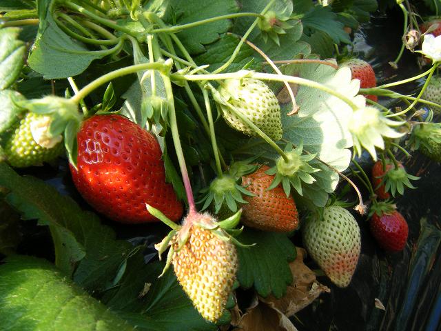e0146841_2145086.jpg
