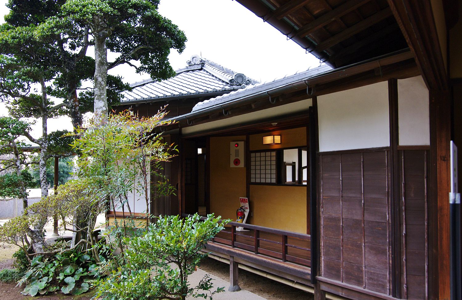 b0212342_811113.jpg