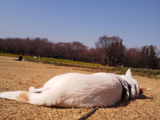 d0204043_0105590.jpg