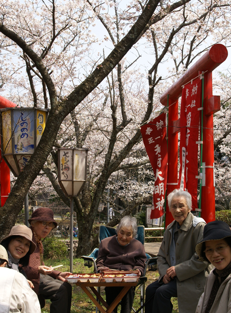 ３ばばと花見_f0214649_934954.jpg