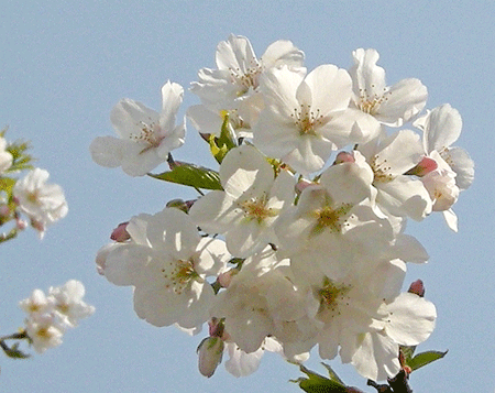 a0001354_21274625.gif
