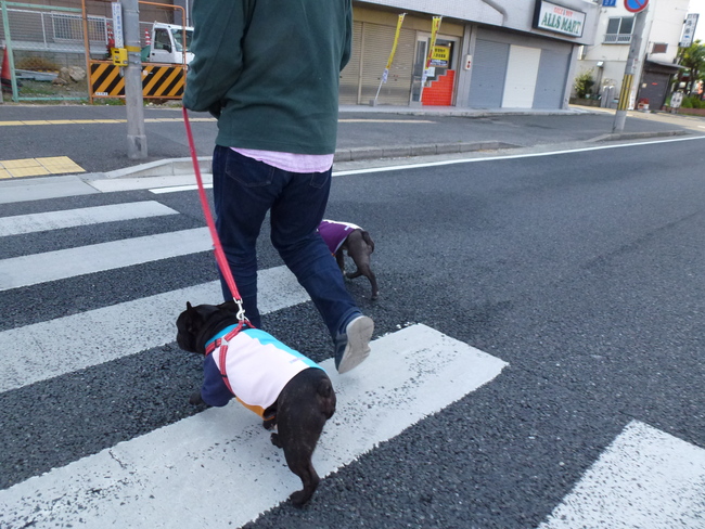 横断歩道。_e0126054_15323342.jpg