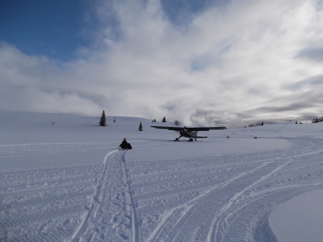 d0143355_1538045.jpg
