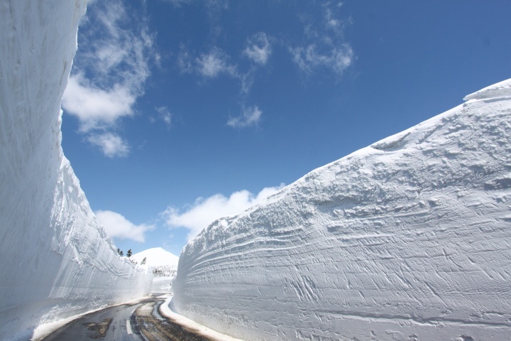 八甲田ゴールドライン雪の回廊２０１２_b0126256_21564660.jpg