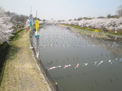 c0021459_207513.jpg