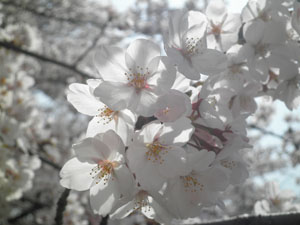c0021459_2083911.jpg