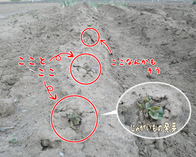 c0021459_209627.jpg