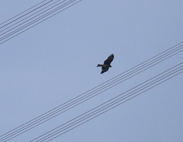 f0212059_2364351.jpg