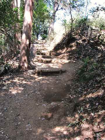 【大庭城址公園のソメイヨシノ】_c0042960_16552763.jpg