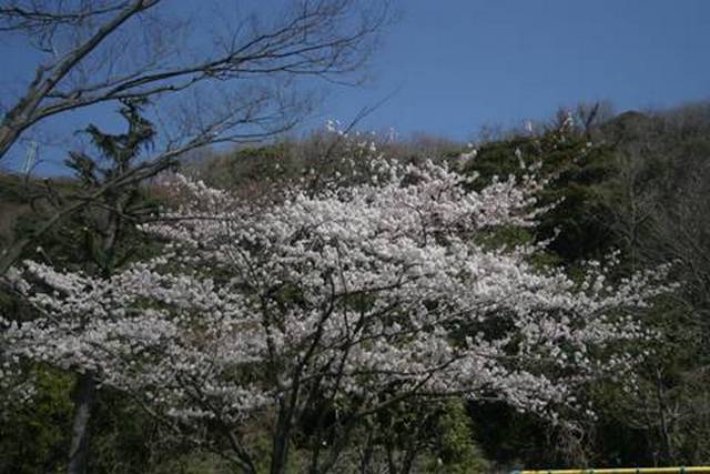 a0240761_95302.jpg