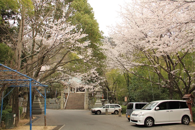 岩滝神社の満開の桜_b0095061_21114526.jpg