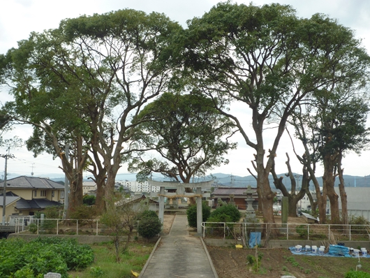 c0222861_22231150.jpg